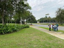 Nuevas zonas de cesi&oacute;n en Pance reverdecen nuestra ciudad 