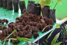 Progr&aacute;mate con lo fresco, natural y org&aacute;nico en nuestros &lsquo;Mercados Campesinos&rsquo;