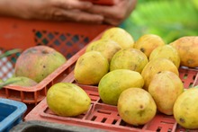 Progr&aacute;mate con lo fresco, natural y org&aacute;nico en nuestros &lsquo;Mercados Campesinos&rsquo;