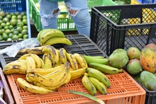 Progr&aacute;mate con lo fresco, natural y org&aacute;nico en nuestros &lsquo;Mercados Campesinos&rsquo;