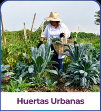 huertas urbanas-18-18