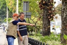 Separadores viales reciben visto bueno de interventor