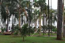 Recuperaci&oacute;n Ambiental y Paisaj&iacute;stica de la Plaza de Cayzedo