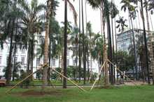 Recuperaci&oacute;n Ambiental y Paisaj&iacute;stica de la Plaza de Cayzedo