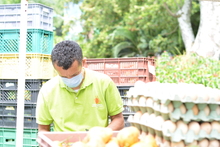 Este fin de semana la cita es con los &lsquo;Mercados Campesinos&rsquo; de Cali y sus corregimientos