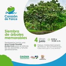 Siembra de &aacute;rboles memorables en el Coraz&oacute;n de Pance 