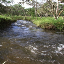 El coraz&oacute;n de Pance recibi&oacute; 1000 testimonios de cari&ntilde;o