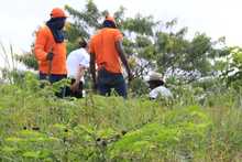 El coraz&oacute;n de Pance recibi&oacute; 1000 testimonios de cari&ntilde;o