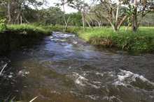 El coraz&oacute;n de Pance recibi&oacute; 1000 testimonios de cari&ntilde;o