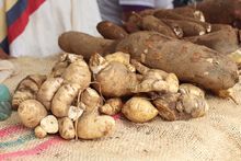 Participamos en la celebraci&oacute;n del D&iacute;a del Campesino 
