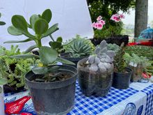 Participamos en la celebraci&oacute;n del D&iacute;a del Campesino 