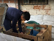 La Educaci&oacute;n Ambiental hace parte del plan curricular de las instituciones educativas oficiales de Cali
