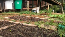 La Educaci&oacute;n Ambiental hace parte del plan curricular de las instituciones educativas oficiales de Cali