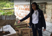 La Educaci&oacute;n Ambiental hace parte del plan curricular de las instituciones educativas oficiales de Cali