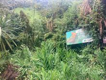 Intercambio de experiencias entre beneficiarios de Bosques para la Vida    