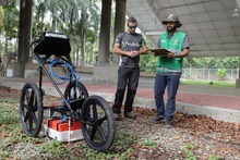 Tecnolog&iacute;a de avanzada para el diagn&oacute;stico de &aacute;rboles en Cali  