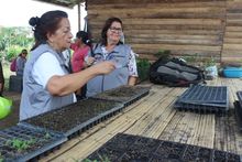 Ediles conocen huertas del Jarill&oacute;n, trabajo que replicar&aacute;n en los territorios.