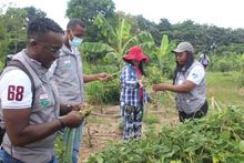 Ediles conocen huertas del Jarill&oacute;n, trabajo que replicar&aacute;n en los territorios.