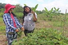 Ediles conocen huertas del Jarill&oacute;n, trabajo que replicar&aacute;n en los territorios.