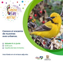 Este s&aacute;bado en &lsquo;Camina San Antonio&rsquo;: avistamiento de aves, recorridos peatonales y taller de alfe&ntilde;ique