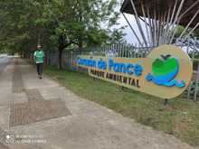 Riqueza forestal del Parque Ambiental Coraz&oacute;n de Pance   