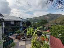 No olvide llevar el canasto ma&ntilde;ana a &lsquo;Camina San Antonio&rsquo;