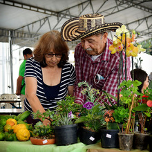 Avanza el segundo d&iacute;a de la &ldquo;Agroferia y Gran Mercado Campesino&rdquo; del 2022