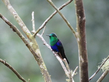 &lsquo;Cali negocia rural&rsquo;, una oportunidad para el turismo de naturaleza