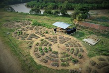 Plan Jarill&oacute;n de Cali cumpliendole a la comunidad