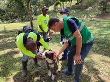 Recuperaci&oacute;n de predios en zona de inter&eacute;s ambiental 