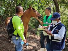 Recuperaci&oacute;n de predios en zona de inter&eacute;s ambiental 