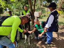 Recuperaci&oacute;n de predios en zona de inter&eacute;s ambiental 