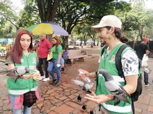 DAGMA inici&oacute; acciones de protecci&oacute;n y cuidado  a palomas del centro de Cali
