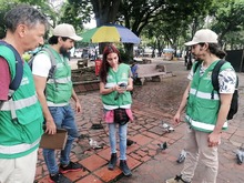 DAGMA inici&oacute; acciones de protecci&oacute;n y cuidado a palomas del centro de Cali