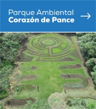 Coraz&oacute;n de Pance