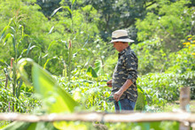 En Cali existen 490 huertas urbanas que siembran esperanza ambiental 