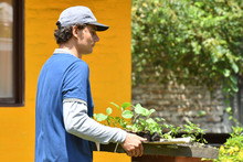 En Cali existen 490 huertas urbanas que siembran esperanza ambiental 