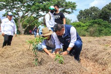 En Cali existen 490 huertas urbanas que siembran esperanza ambiental 