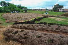 En Cali existen 490 huertas urbanas que siembran esperanza ambiental 