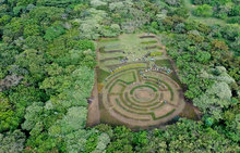 Laberinto de polinizadores 