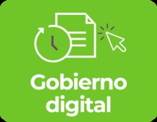 gobierno digital-19