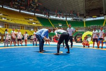En el D&iacute;a Ol&iacute;mpico, Cali reconoce en sus deportistas el talento y el alto rendimiento