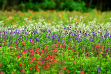 Parque Ambiental Coraz&oacute;n de Pance