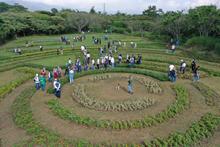 Con jardines, Cali le apuesta a la preservaci&oacute;n y la vida