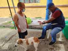 Habitantes de la Comuna 9, disfrutaron de la jornada Integral de servicios en salud y ambiente. 