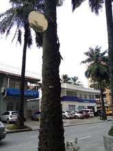 S.O.S. por los &aacute;rboles de Cali 