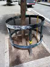 S.O.S. por los &aacute;rboles de Cali 