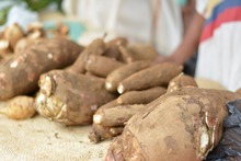Este fin de semana el parche es con los Mercados Campesinos de Cali y sus corregimientos