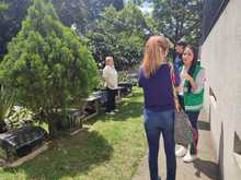 Por principio de solidaridad social, las colonias de gatos ferales deben ser respetadas