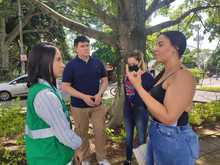 Por principio de solidaridad social, las colonias de gatos ferales deben ser respetadas